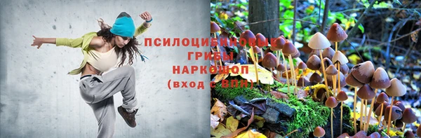 а пвп мука Баксан
