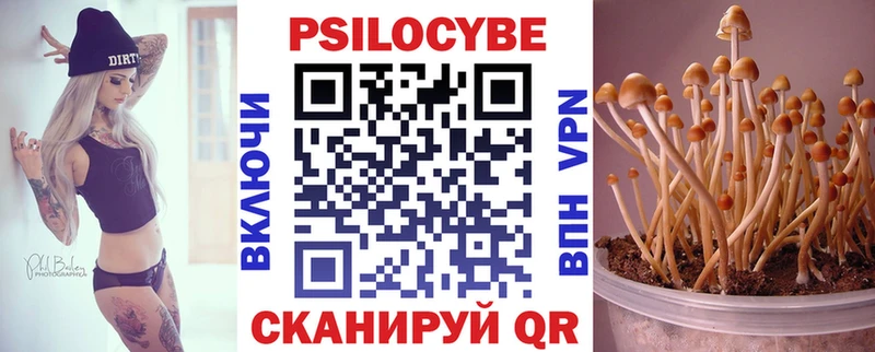 Галлюциногенные грибы Psilocybe  Гремячинск 